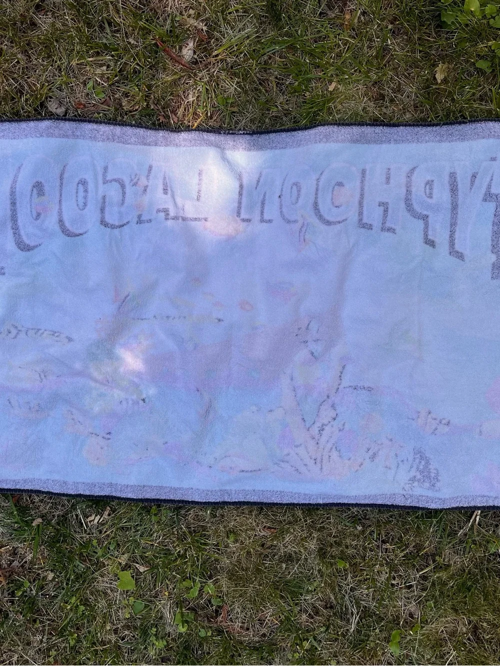Vintage Disney Typhoon Lagoon Towel